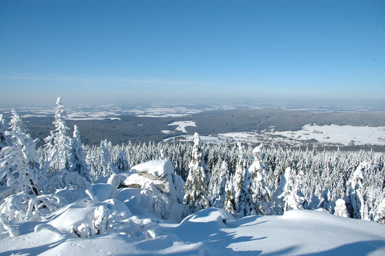 Landgasthof/Landhaus Waldlust บิชอฟสกรุน ภายนอก รูปภาพ